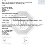Max Load Report - TUV - HKT Holdings
